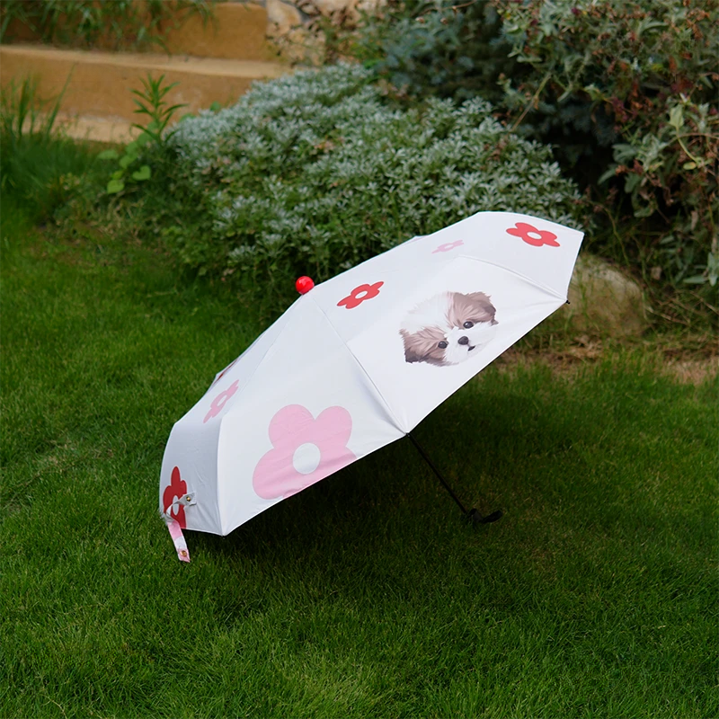 Parapluie personnalisé avec portrait d'animal de compagnie