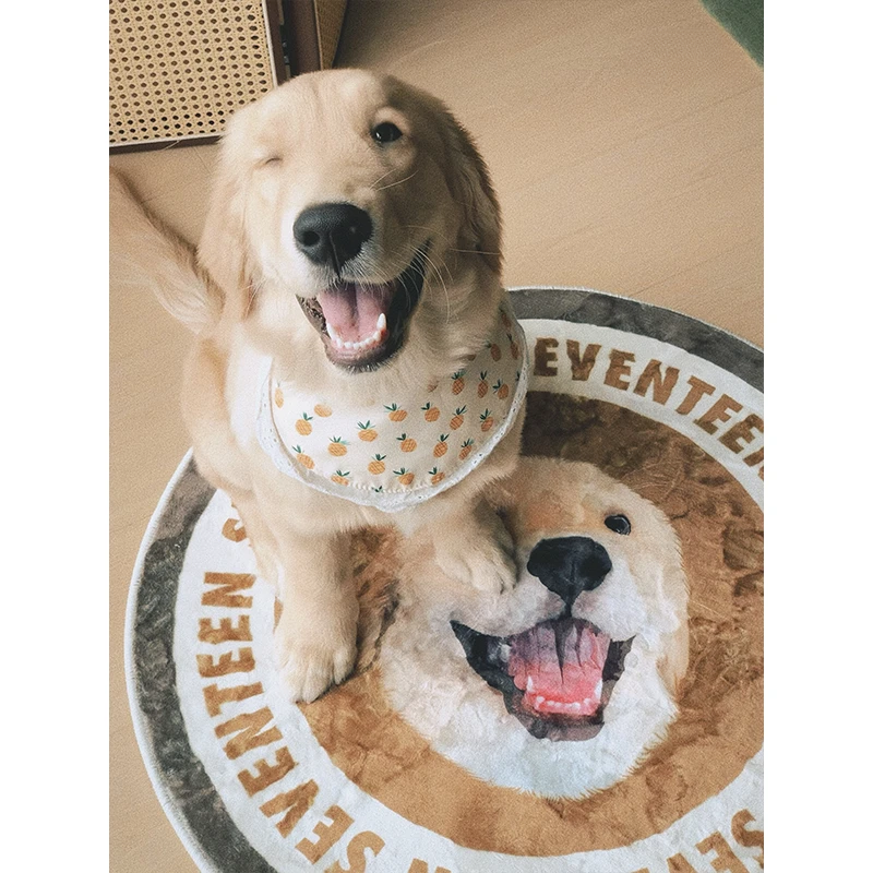 Tapis personnalisé avec portrait d'animal de compagnie