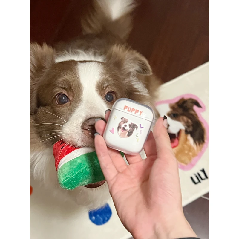 Coque AirPods personnalisée avec portrait d'animal de compagnie