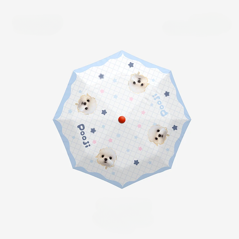 Parapluie personnalisé avec portrait d'animal de compagnie